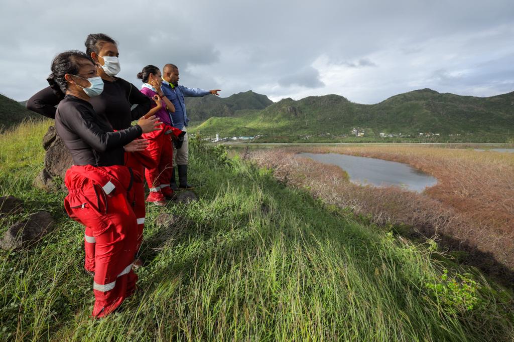 Primera expedición científica en Providencia dejó grandes hallazgos para su recuperación Primera expedición científica en Providencia dejó grandes hallazgos para su recuperación