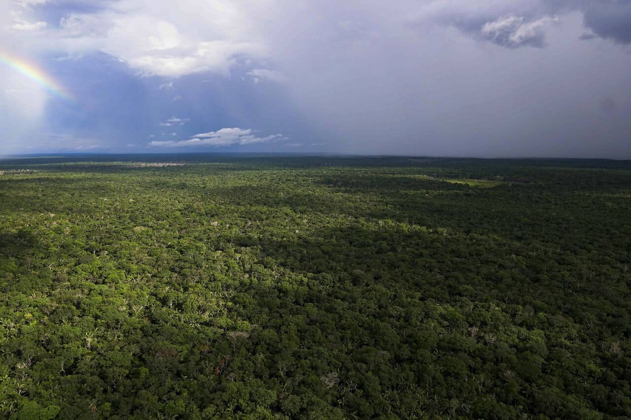Gobierno Nacional, con la lupa puesta en la deforestación Gobierno Nacional, con la lupa puesta en la deforestación