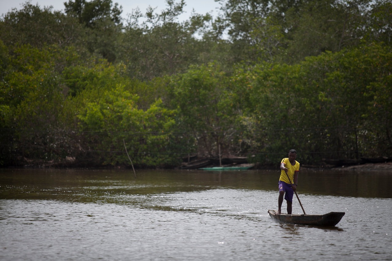 Vida Manglar, el proyecto que el ministro Correa lanzó en Monaco Ocean Week Vida Manglar, el proyecto que el ministro Correa lanzó en Monaco Ocean Week