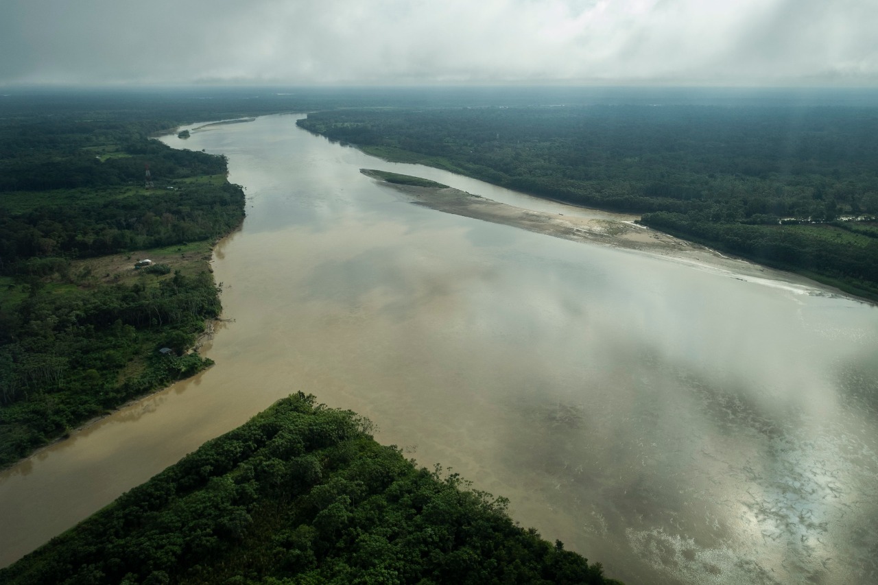 Familias del Guaviare reafirman su compromiso con la conservación de más de 3 mil hectáreas de bosques