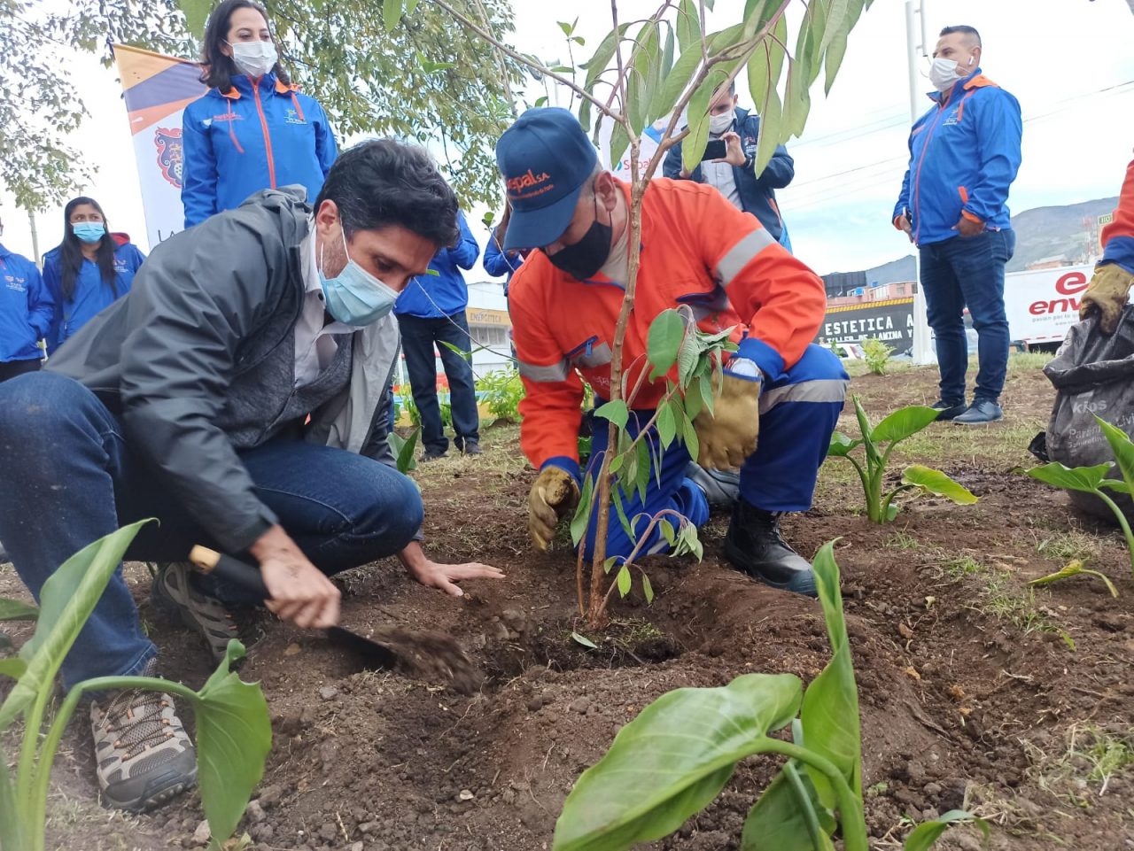 Los 10 municipios que más han sembrado árboles en Colombia