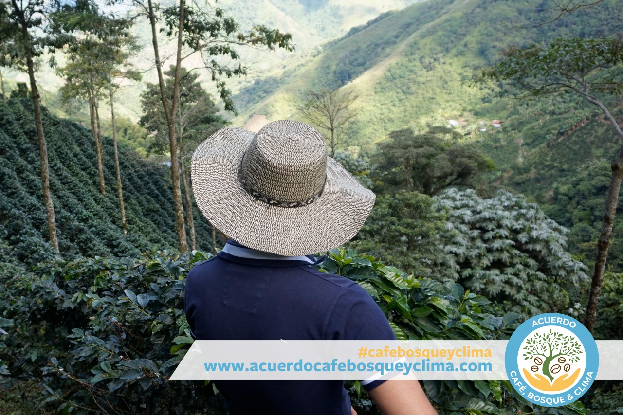 Gobierno cumple una meta más del Plan Nacional de Desarrollo con el Acuerdo de Café, Bosque y Clima