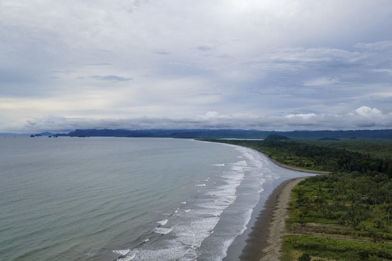 “Colombia está comprometida con la acción climática global”: Ministro de Ambiente