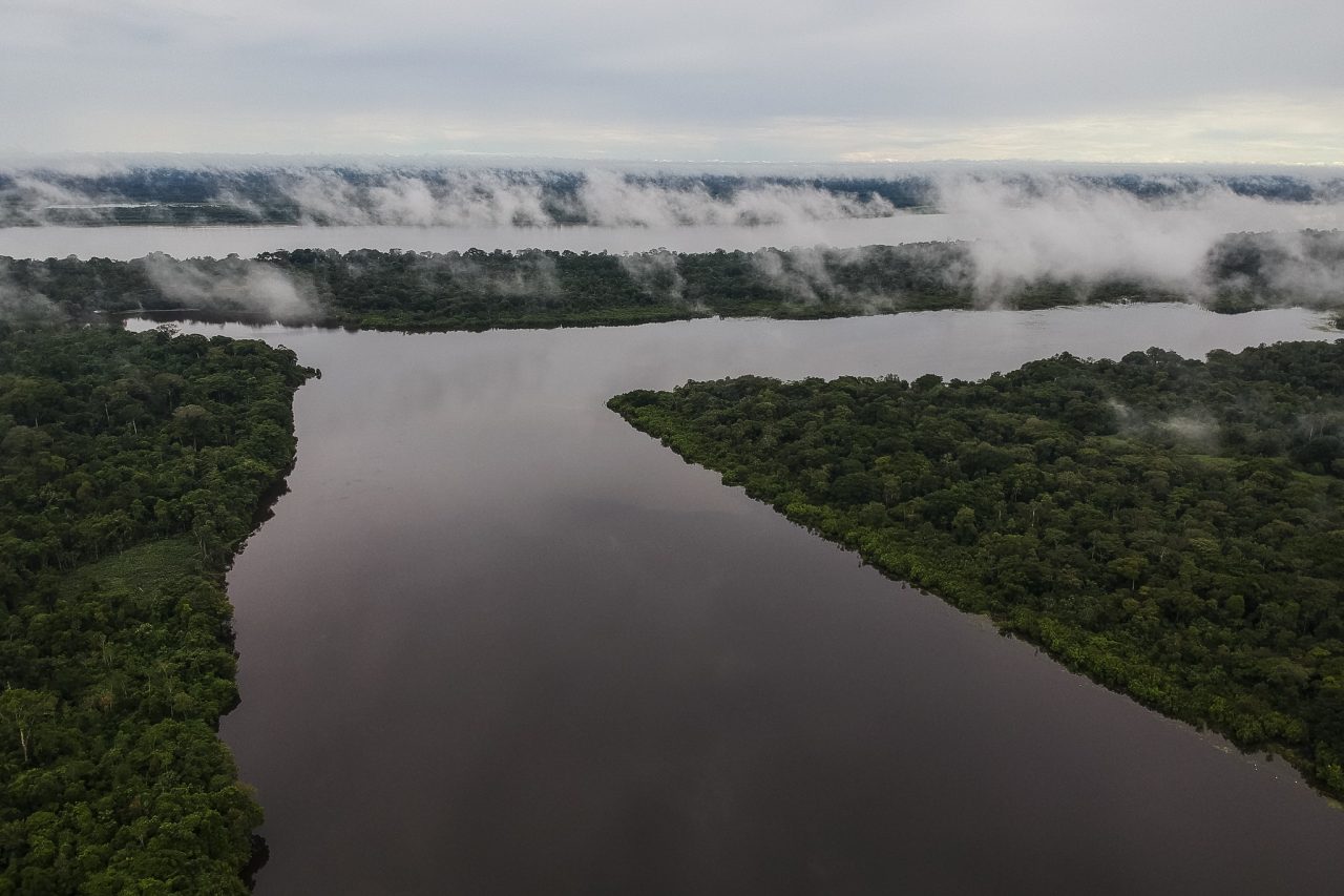 Presidente Duque anunció 22.300 efectivos de la fuerza pública para combatir delitos ambientales Presidente Duque anunció 22.300 efectivos de la fuerza pública para combatir delitos ambientales