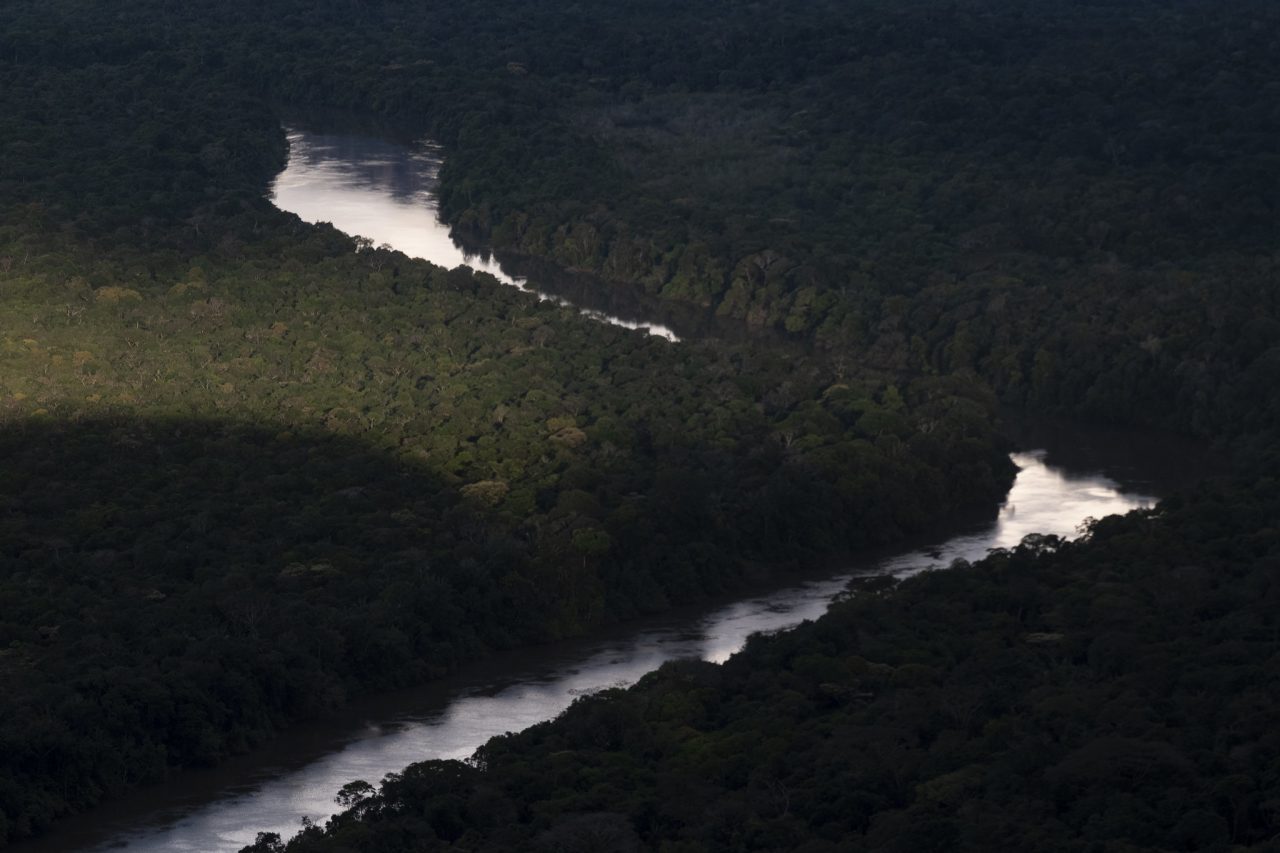 “Es urgente revertir la pérdida de biodiversidad”: Ministro de Ambiente previo a la PreCOP de Leticia “Es urgente revertir la pérdida de biodiversidad”: Ministro de Ambiente previo a la PreCOP de Leticia