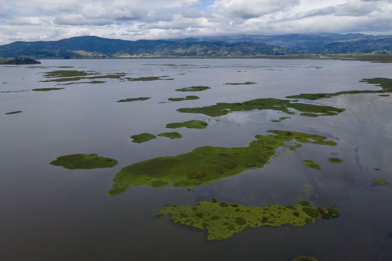 El Gobierno presentará la Ley de Acción Climática ante el Congreso El Gobierno presentará la Ley de Acción Climática ante el Congreso