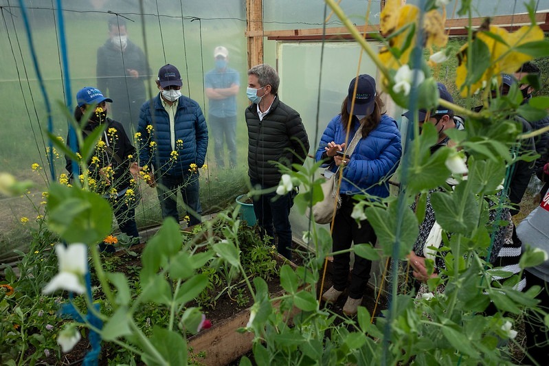 “Viveros, fábricas de vida y oxígeno que restauran los ecosistemas”: Ministro de Ambiente