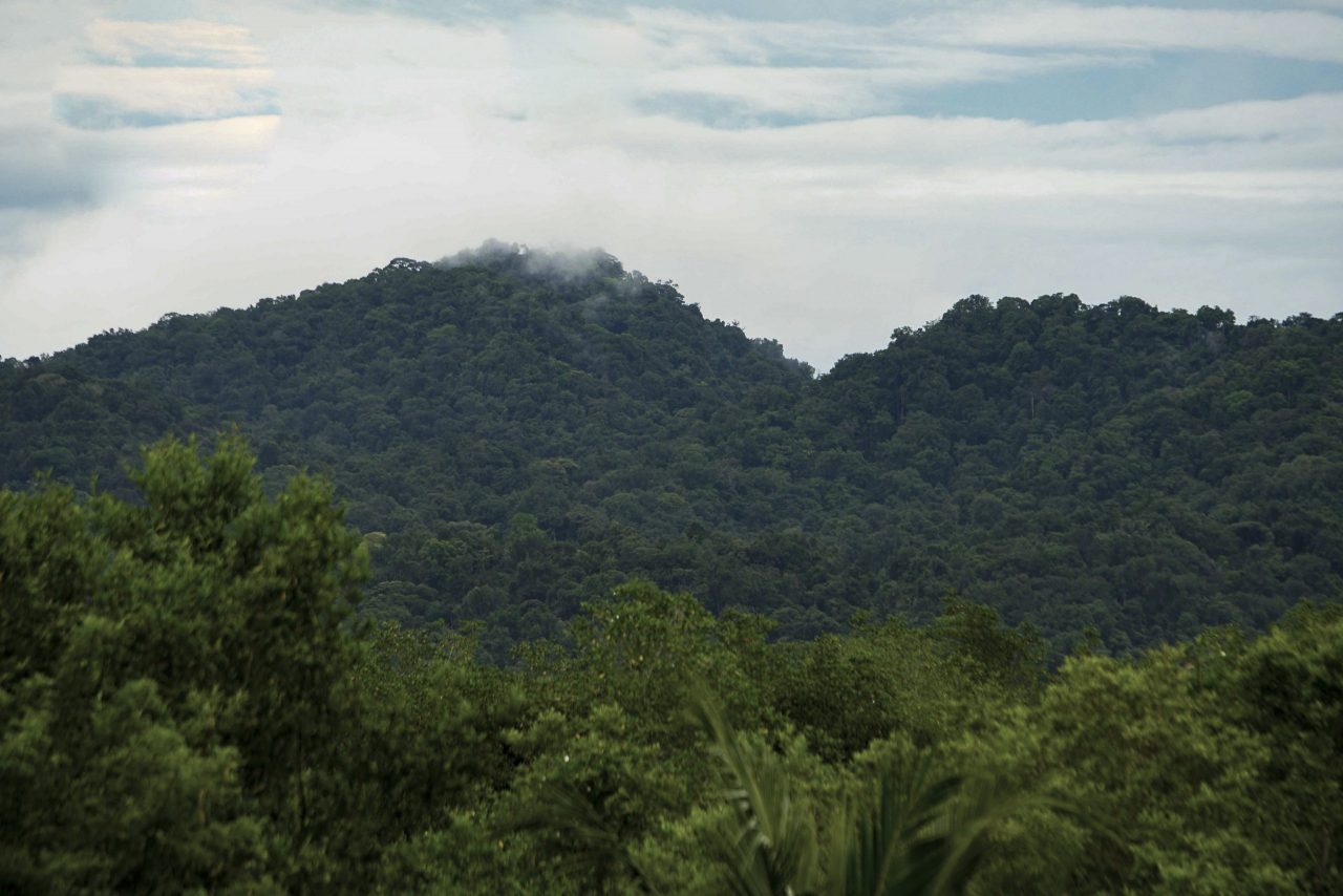 Día del Aire Limpio, la apuesta del Minambiente para que el país respire mejor Día del Aire Limpio, la apuesta del Minambiente para que el país respire mejor