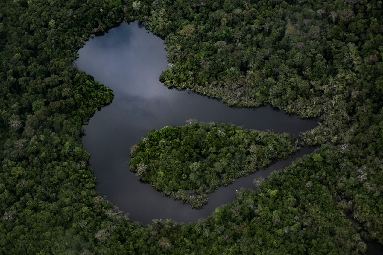 Amazonas le apuesta a los emprendimientos sostenibles y a la economía circular Amazonas le apuesta a los emprendimientos sostenibles y a la economía circular