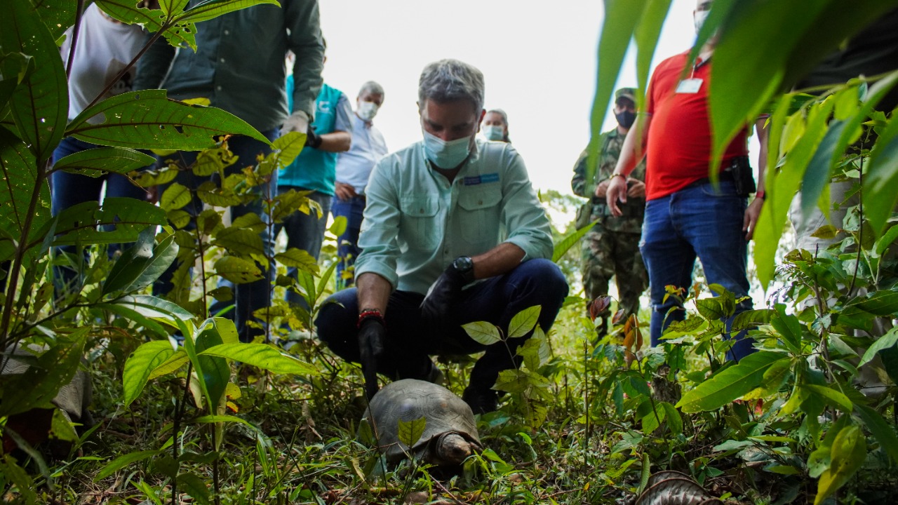 Miniambiente liberó especies que le dan vida a bosques y selvas del Meta Miniambiente liberó especies que le dan vida a bosques y selvas del Meta