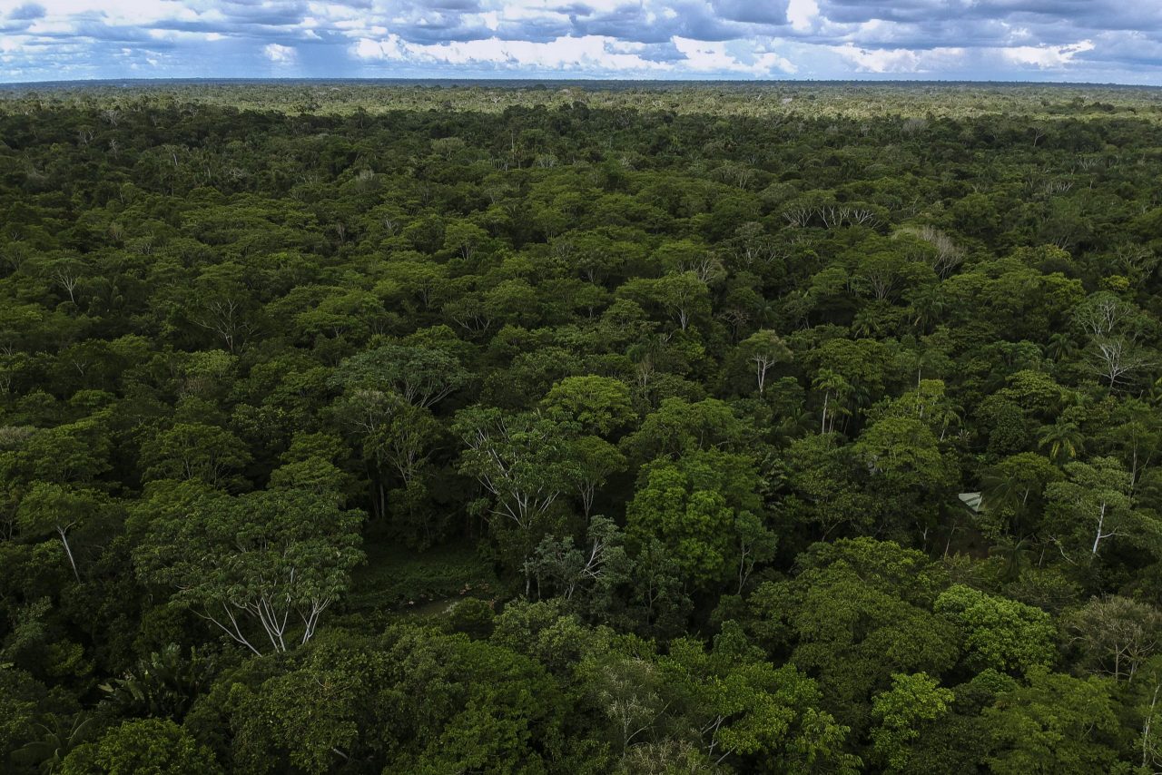 Colombia propone equidad en los mercados de carbono