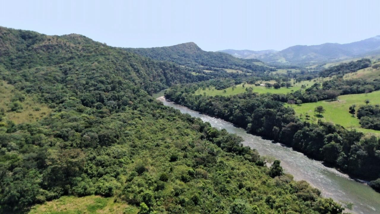 Pago por Servicios Ambientales, otra estrategia del Vichada para proteger la naturaleza Pago por Servicios Ambientales, otra estrategia del Vichada para proteger la naturaleza