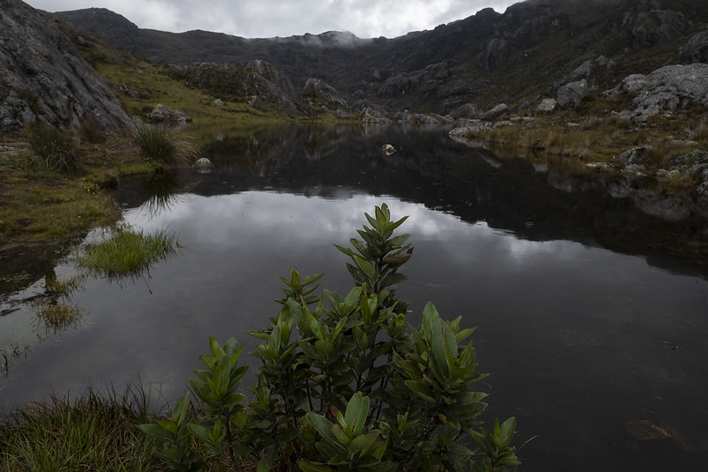 Minambiente lideró mesa de diálogo en Gramalote para delimitación del Páramo de Santurbán