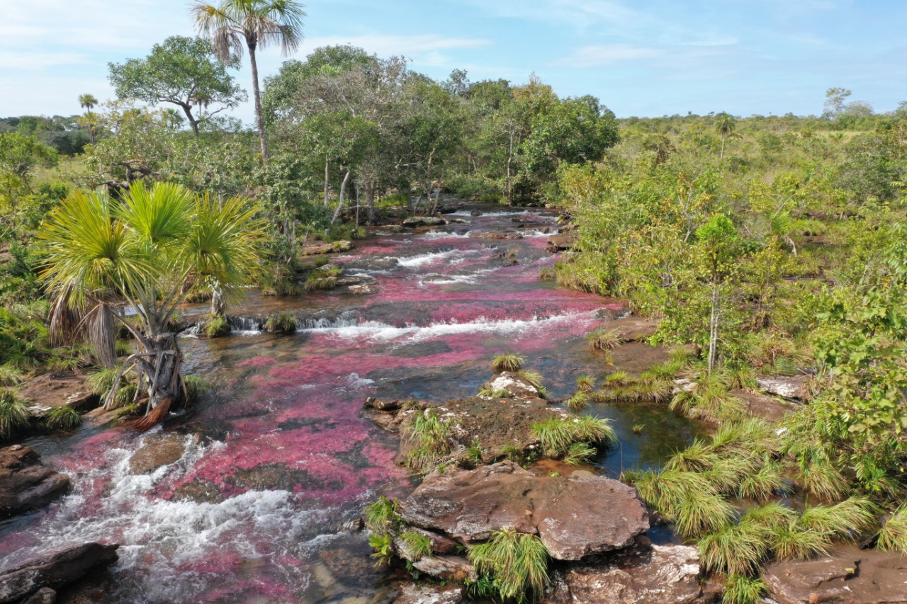 Turismo de naturaleza: alternativa productiva que aporta a la reducción de la deforestación en la Amazonía Turismo de naturaleza: alternativa productiva que aporta a la reducción de la deforestación en la Amazonía
