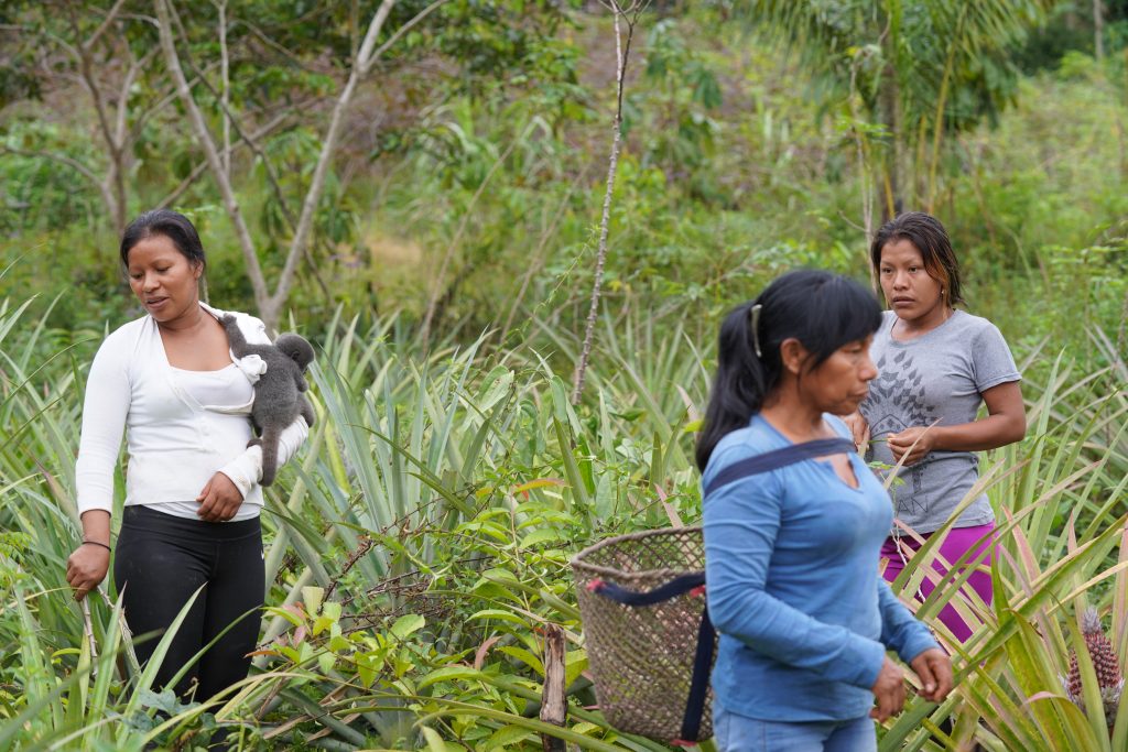 Mujeres en la conservación de los recursos naturales: alma y vida de un país que se transforma Mujeres en la conservación de los recursos naturales: alma y vida de un país que se transforma