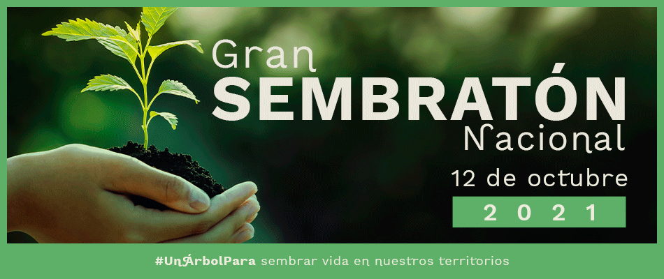 Gran Sembratón Nacional el próximo 12 de octubre Gran Sembratón Nacional el próximo 12 de octubre