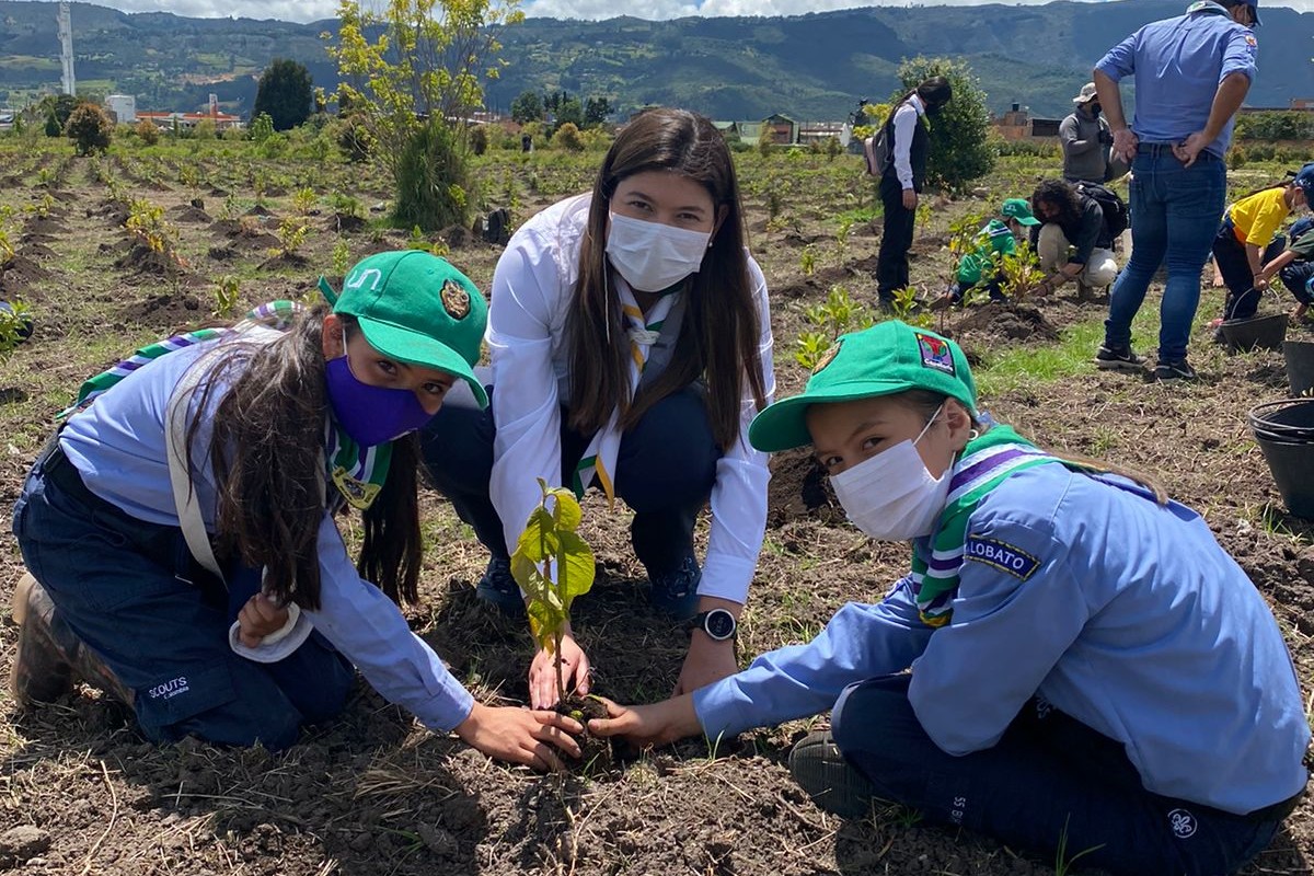 Colombia plantará mañana cinco millones de árboles durante la Gran Sembratón Colombia plantará mañana cinco millones de árboles durante la Gran Sembratón