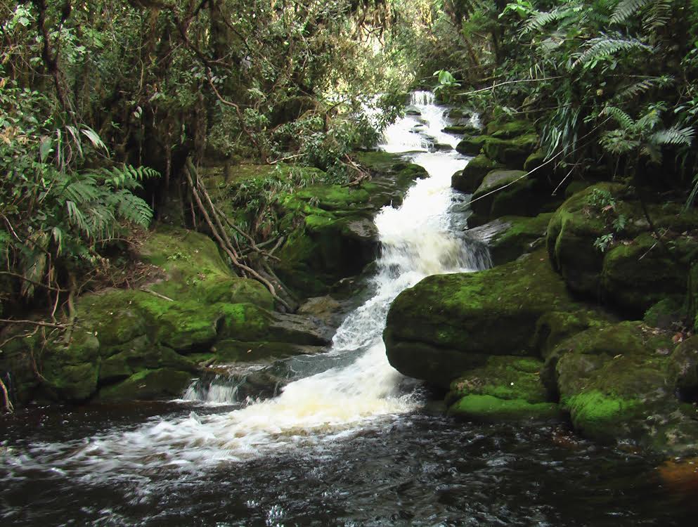 Colombia cuenta con una nueva propuesta de estimación de caudales ambientales Colombia cuenta con una nueva propuesta de estimación de caudales ambientales