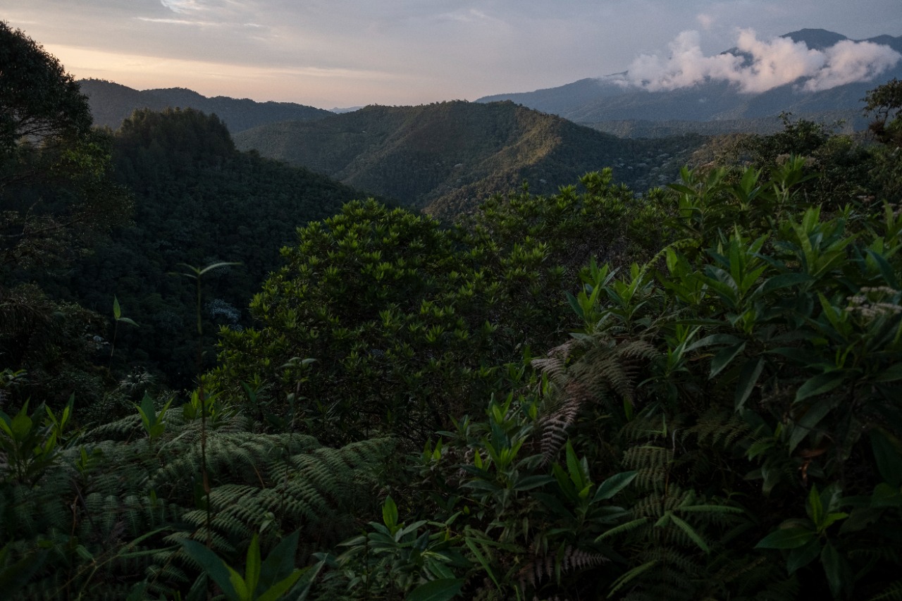 Minambiente abre convocatoria por 52.000 millones de pesos para financiar proyectos ambientales Minambiente abre convocatoria por 52.000 millones de pesos para financiar proyectos ambientales
