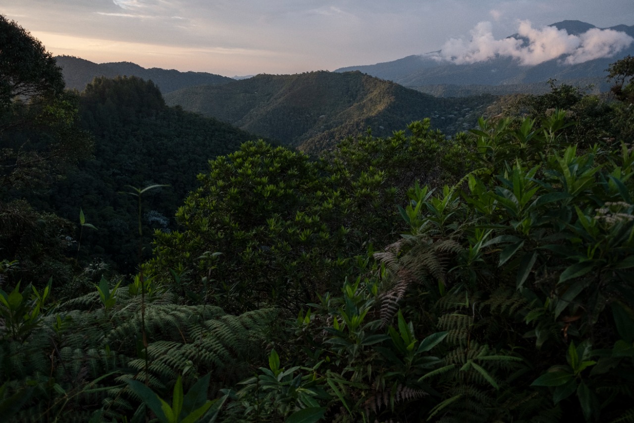 Minambiente abre convocatoria por 52.000 millones de pesos para financiar proyectos ambientales