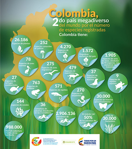 La Diversidad Biológica, fundamental para el sostenimiento del mundo La Diversidad Biológica, fundamental para el sostenimiento del mundo