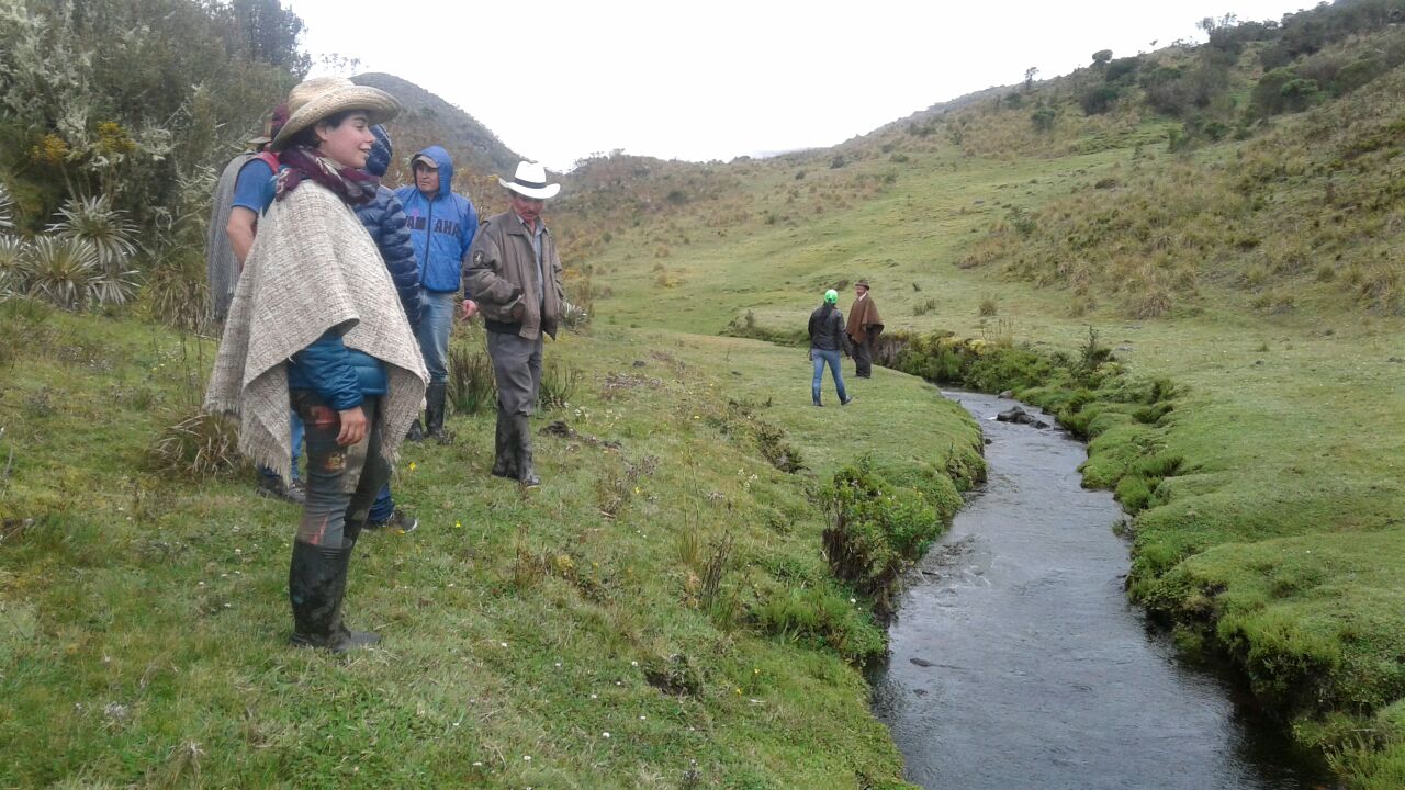 Los Procedas velan por la conservación y el desarrollo sostenible de los territorios Colombianos Los Procedas velan por la conservación y el desarrollo sostenible de los territorios Colombianos