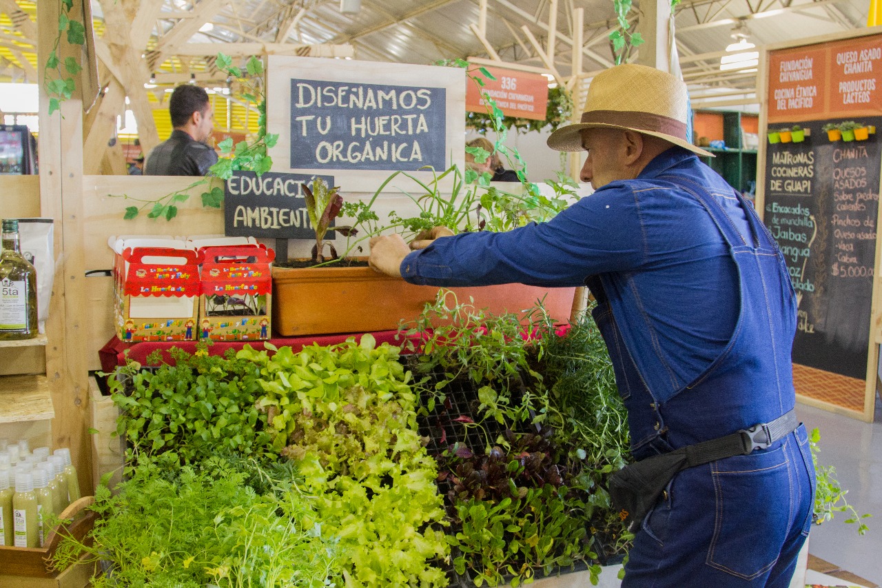 Negocios Verdes, visión para el desarrollo de una nueva economía en el 2018 Negocios Verdes, visión para el desarrollo de una nueva economía en el 2018