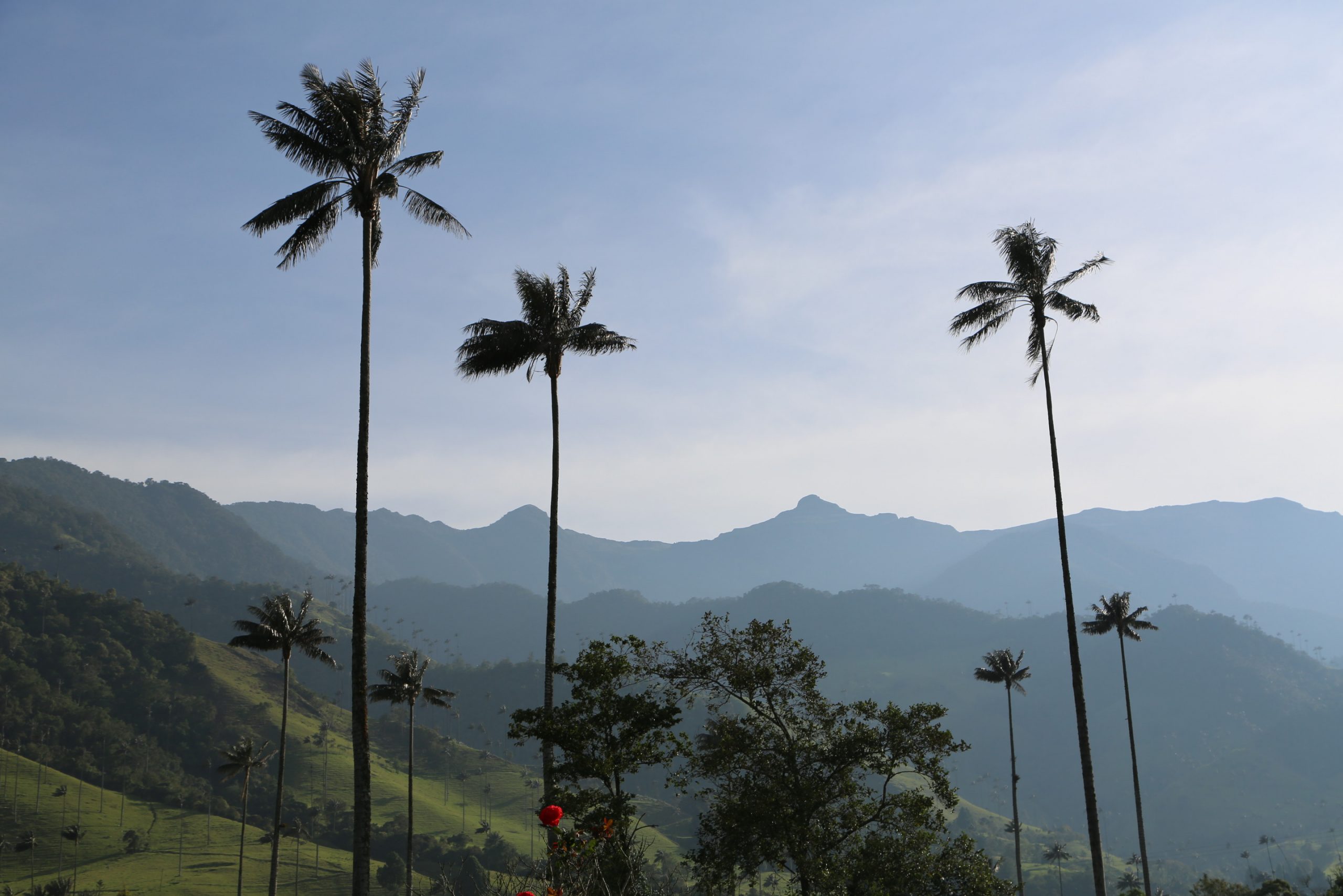 Con ecoturismo comunitario Colombia renueva su oferta para vacaciones Con ecoturismo comunitario Colombia renueva su oferta para vacaciones