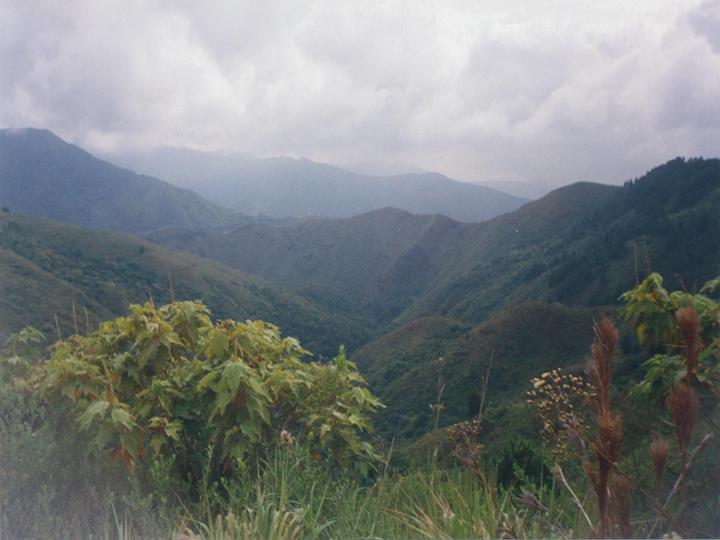 Nuevas especies animales se habrían encontrado en parque nacional natural Farallones de Cali Nuevas especies animales se habrían encontrado en parque nacional natural Farallones de Cali