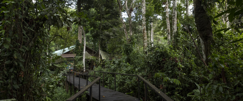 Minambiente presenta plan de manejo de reserva forestal de los cerros orientales de Bogotá Minambiente presenta plan de manejo de reserva forestal de los cerros orientales de Bogotá