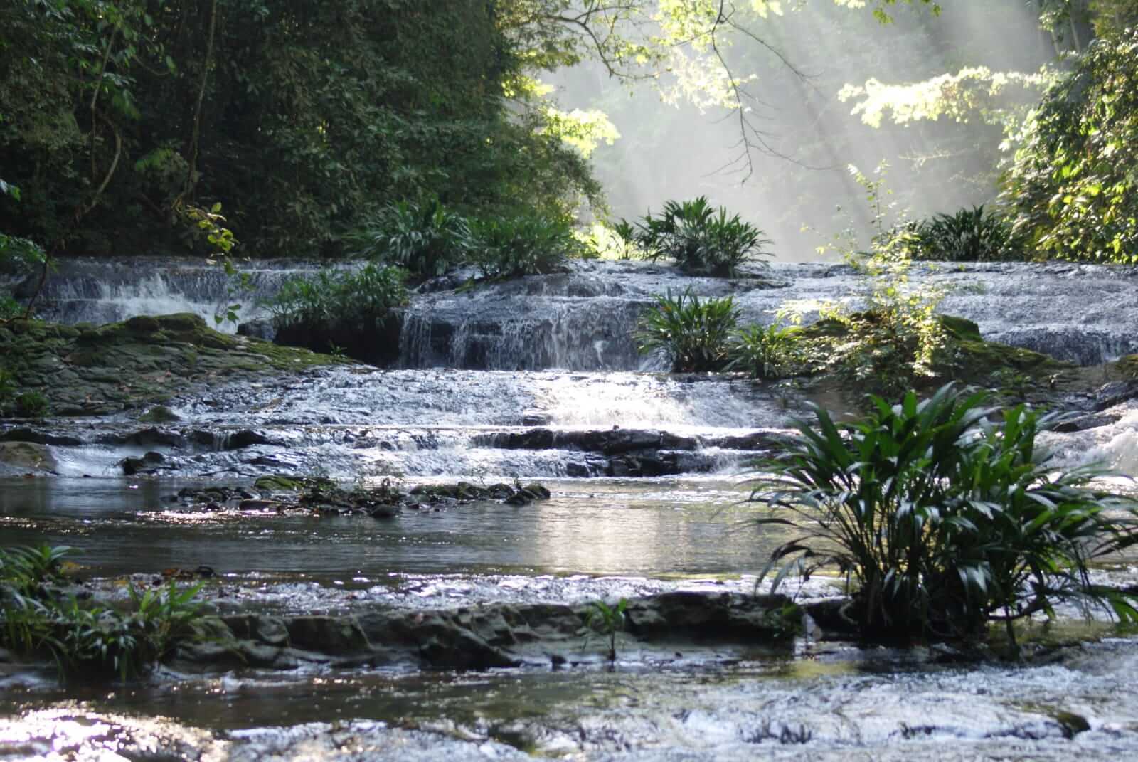 Pacífico Biocultural: una apuesta por la conservación y el uso sostenible de los recursos naturales