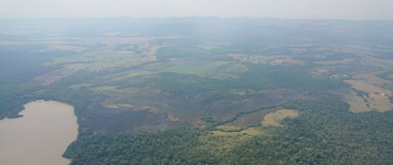 10 puntos críticos de los incendios en el Guaviare ya fueron liquidados 10 puntos críticos de los incendios en el Guaviare ya fueron liquidados