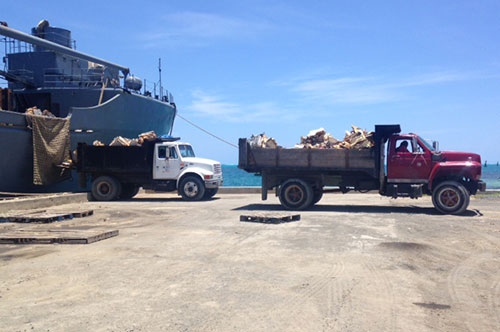 36 toneladas de residuos posconsumo fueron retiradas de la isla de San Andrés 36 toneladas de residuos posconsumo fueron retiradas de la isla de San Andrés