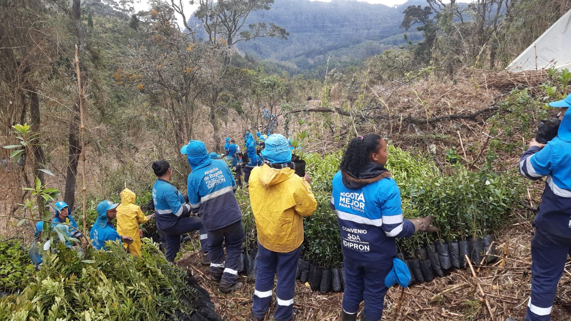 Bogotá le cumple a la conservación de los cerros orientales Bogotá le cumple a la conservación de los cerros orientales