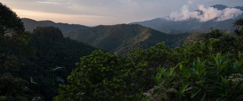 Esta es la convocatoria del Minambiente para las Reservas de la Sociedad Civil Esta es la convocatoria del Minambiente para las Reservas de la Sociedad Civil
