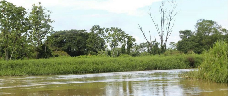 Colombia cuenta con 17 POMCAS aprobados bajo el nuevo marco legal de Planificación de Cuencas Colombia cuenta con 17 POMCAS aprobados bajo el nuevo marco legal de Planificación de Cuencas