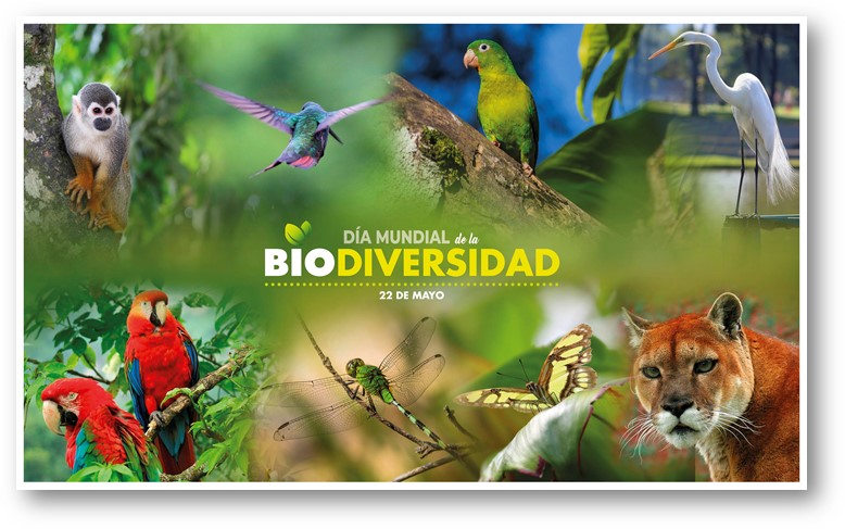 Colombia, el segundo país más biodiverso del mundo, celebra el Día Mundial de la Biodiversidad