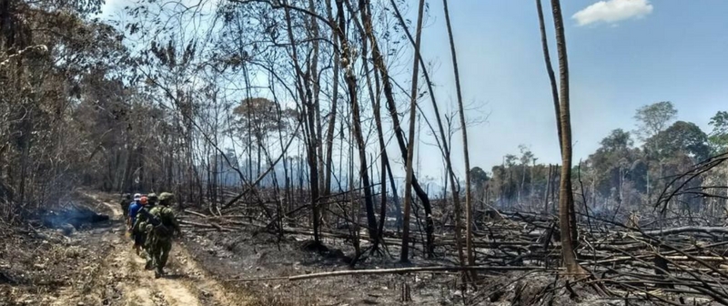 Con criterios ambientales priorizan atención a incendios forestales en Guaviare Con criterios ambientales priorizan atención a incendios forestales en Guaviare