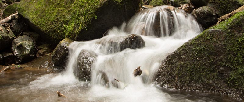 Decreto reglamentario del sector ambiente contribuye en la prevención de la contaminación Decreto reglamentario del sector ambiente contribuye en la prevención de la contaminación