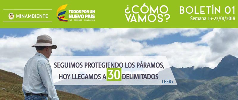 Descarga nuestro primer boletín del informativo ¿Cómo vamos? de 2018