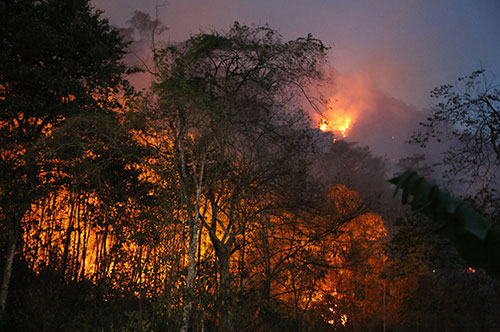 El Ministro Gabriel Vallejo llama la atención sobre incremento de incendios en el país El Ministro Gabriel Vallejo llama la atención sobre incremento de incendios en el país