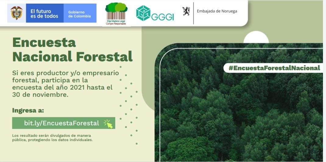 Una alianza para el desarrollo de la economía forestal en Colombia