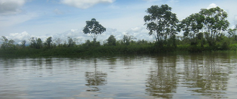 Entidades ambientales avanzan en plan de acción para cumplimiento de la Sentencia sobre el río Atrato Entidades ambientales avanzan en plan de acción para cumplimiento de la Sentencia sobre el río Atrato