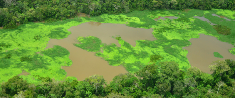 Lagos de Tarapoto, nuevo humedal Ramsar en Colombia Lagos de Tarapoto, nuevo humedal Ramsar en Colombia