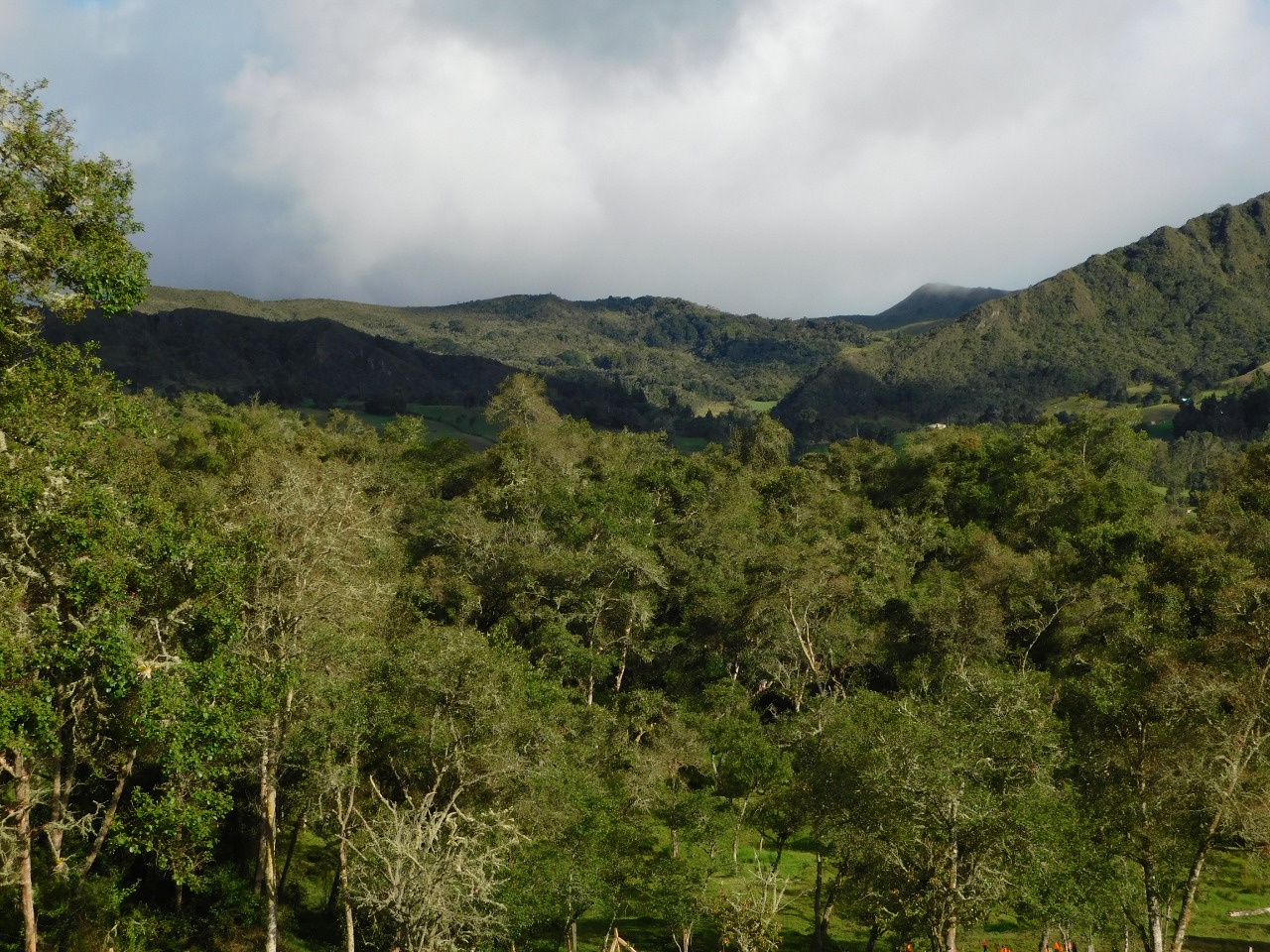 MinAmbiente ofrece 100 becas a funcionarios del corredor estratégico Chingaza-Sumapaz-Guerrero en gestión de cambio climático y protección del agua MinAmbiente ofrece 100 becas a funcionarios del corredor estratégico Chingaza-Sumapaz-Guerrero en gestión de cambio climático y protección del agua