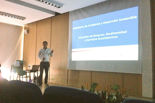 Minambiente presentó planes de conservación de especies de plantas en peligro de extinción Minambiente presentó planes de conservación de especies de plantas en peligro de extinción