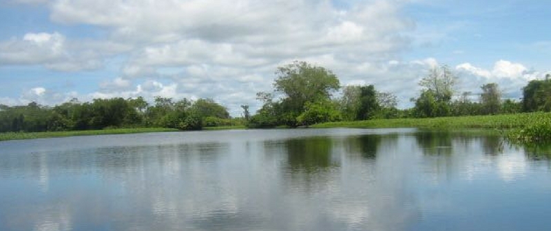 Minambiente se fortalece para cumplir sentencia sobre el río Atrato Minambiente se fortalece para cumplir sentencia sobre el río Atrato