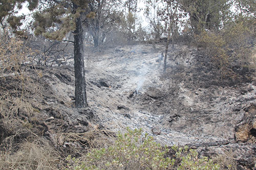 Ministro Gabriel Vallejo coordina control de incendios en Sutatausa, Cundinamarca Ministro Gabriel Vallejo coordina control de incendios en Sutatausa, Cundinamarca