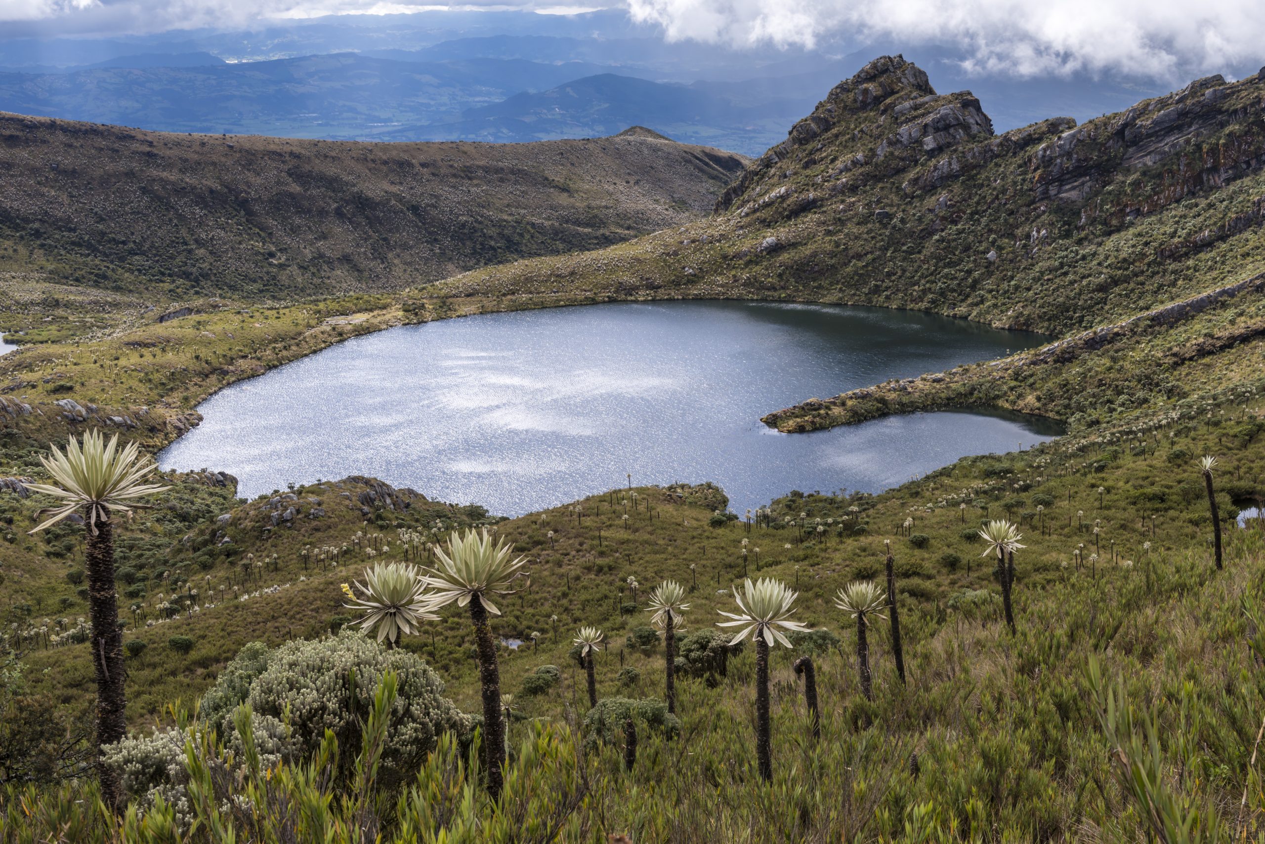 Páramos de Colombia, fábricas de agua y cunas de biodiversidad Páramos de Colombia, fábricas de agua y cunas de biodiversidad
