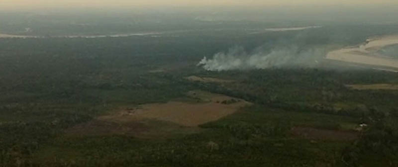 Plan de choque interinstitucional genera resultados en control a deforestación e incendios en Guaviare Plan de choque interinstitucional genera resultados en control a deforestación e incendios en Guaviare